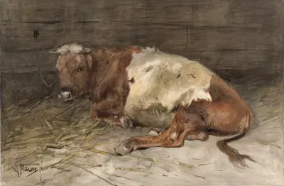 Liggende jonge stier by Anton Mauve, 1848 - 1888 — digital art print download