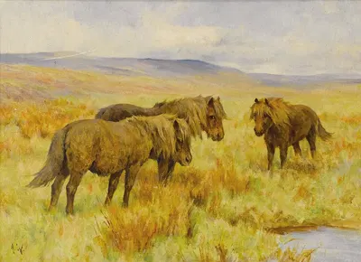 Shetland Ponies by Артур Уордл — digital art print download