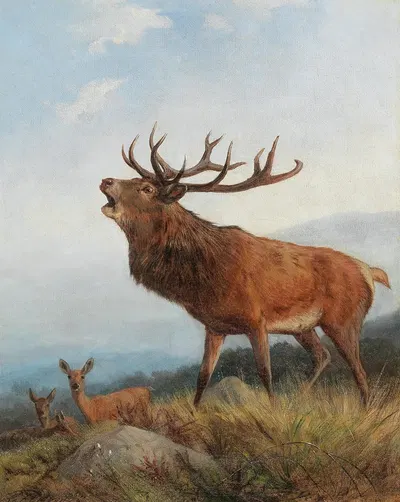 A Bellowing Stag by Карл Фридрих Дейкер — digital art print download