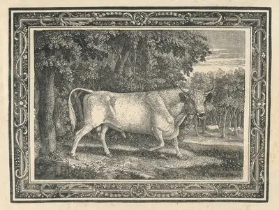 The Wild Bull of Chillingham by Thomas Bewick, 1781 — digital art print download