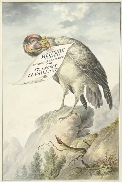Kamgier met in zijn snavel een blad papier by Circle of François Levaillant, 1763 - 1824 — digital art print download
