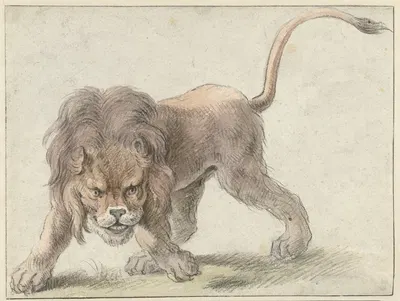 Lion by Cornelis Saftleven, c. 1626 — digital art print download