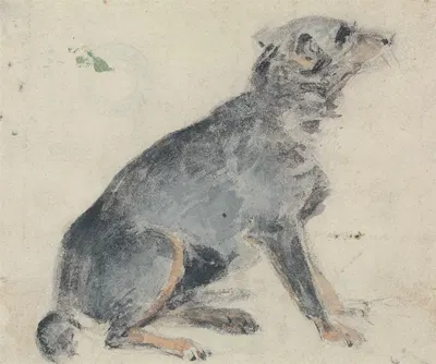 Study of a Dog by David Cox — digital art print download