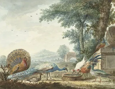 Hoenderhof by Дирк Куйперс, 1775 — digital art print download