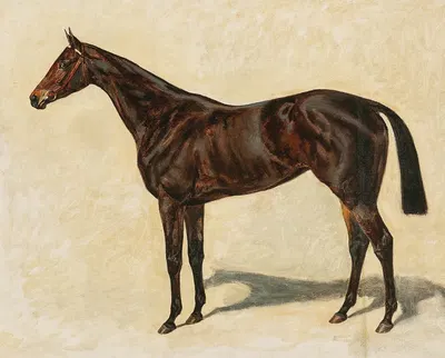 A Dark Brown Thoroughbred Mare by Эмиль Адам — digital art print download
