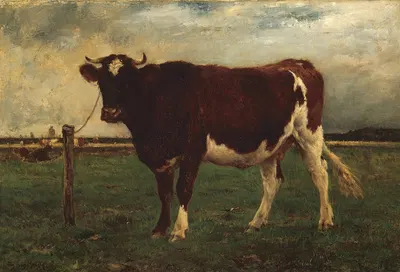 Study of a Cow by Эмиль ван Марке — digital art print download