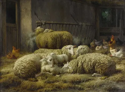 Sheep And Chickens In A Barn by Eugene Remy Maes — digital art print download