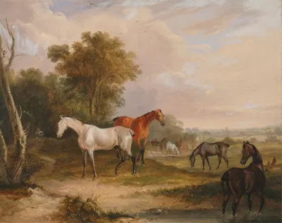 Horses Grazing; a Grey Stallion Grazing with Mares in a Meadow by Francis Calcraft Turner, 1830 — digital art print download