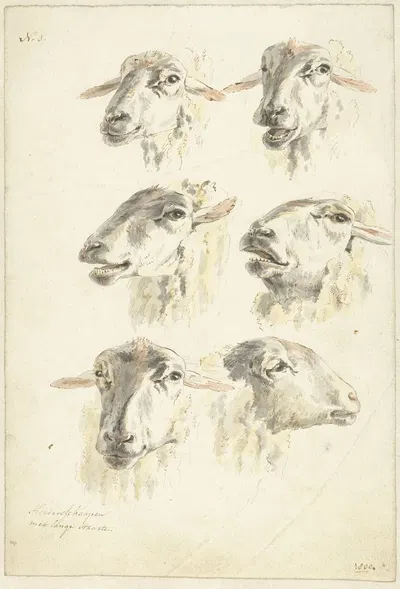 Studieblad met zes schaapskoppen by Франциск Андреас Милац, 1800 — digital art print download