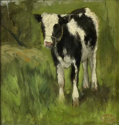Calf, spotted black and white by Geo Poggenbeek — digital art print download