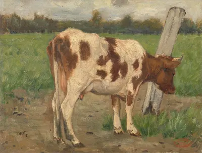 Cow by Гео Поггенбек — digital art print download