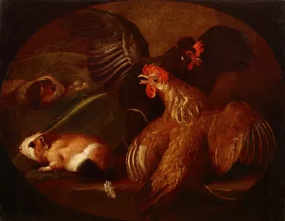 Hens and Guinea Pigs by Giovanni Agostino Cassana, 1718-1720 — digital art print download