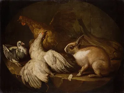 Hens, a Pigeon and a Rabbit by Giovanni Agostino Cassana, 1718-1720 — digital art print download