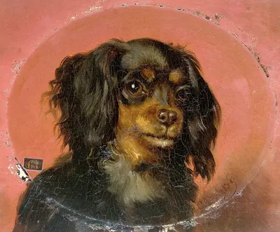 Portrait of a Puppy by Гийом Анн ван дер Бругген, 1850 - 1891 — digital art print download