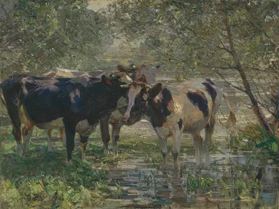 Drei Kühe am Bach (Three cows by a river) by Генрих фон Цюгель, 1914 — digital art print download