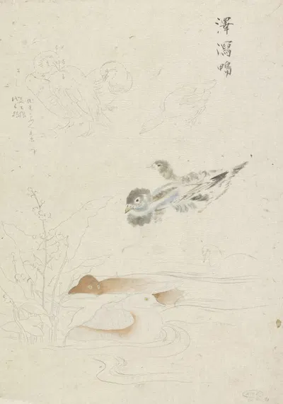 Watervogels by Ishikawa Kazan, 1800 - 1900 — digital art print download