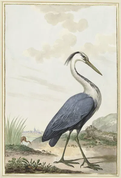 Blauwe reiger by Jabes Heenck, 1776 — digital art print download