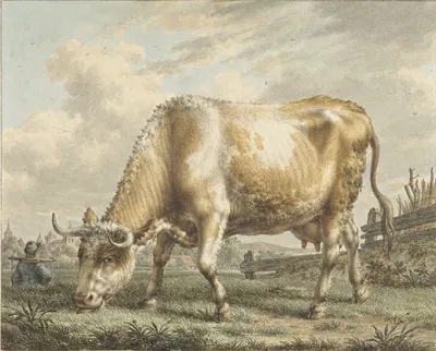 Grazing Cow by Якоб Кац, 1783 — digital art print download