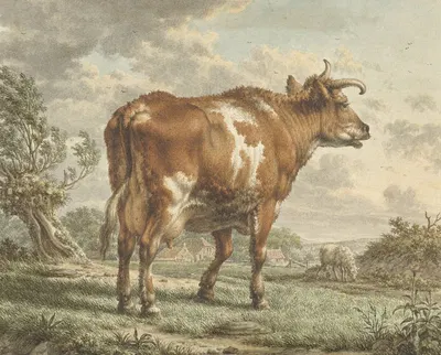 Roodbonte koe in een landschap by Якоб Кац, 1783 — digital art print download