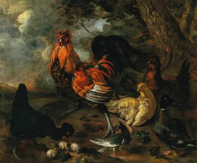 A cockerel, fowl and poultry in a landscape by Jacobus Victors — digital art print download