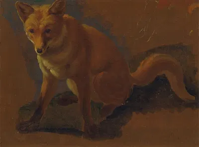 Study of a Fox by Jacques-Laurent Agasse, 1810 - 1830 — digital art print download