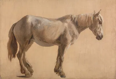 Study of a Grey Horse by Жак-Лоран Агаз — digital art print download