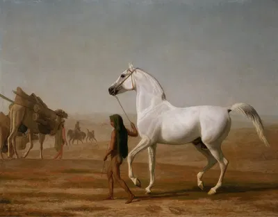 The Wellesley Grey Arabian Led through the Desert by Жак-Лоран Агаз — digital art print download