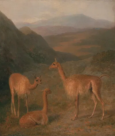 Vicunas by Жак-Лоран Агаз — digital art print download