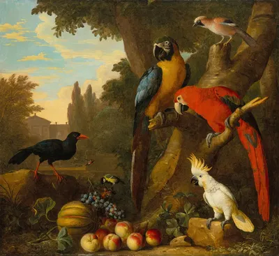 Two macaws, a cockatoo, a red-billed chough and other birds in a landscape with fruit by Jakob Bogdány — digital art print…