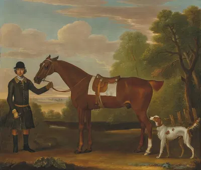 Lord Portmore's 'Snap', a saddled chestnut hunter held by a groom, with a setter in a landscape by Джеймс Сеймур, 1743 —…