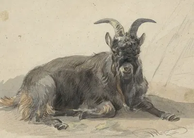 Liggende zwarte geitenbok by Ян ван Равенсваай, 1799 - 1869 — digital art print download