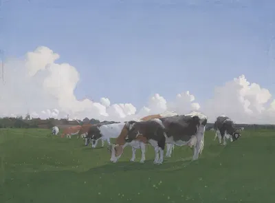 Grazende koeien in een weiland by Ян Воерман — digital art print download