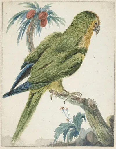 Geelvoorhoofd parkiet (Bolborhyuchus aurifrons) by Ян Вейникс, 1650 - 1719 — digital art print download
