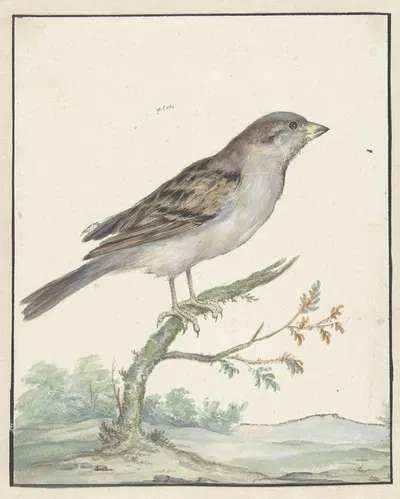 Huismus by Ян Вейникс, 1650 - 1719 — digital art print download