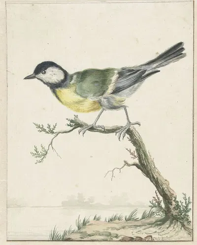 Koolmees by Ян Вейникс, 1650 - 1719 — digital art print download