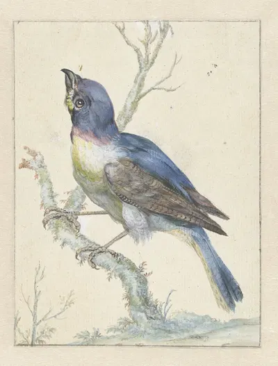Lazuli Bunting by Ян Вейникс — digital art print download
