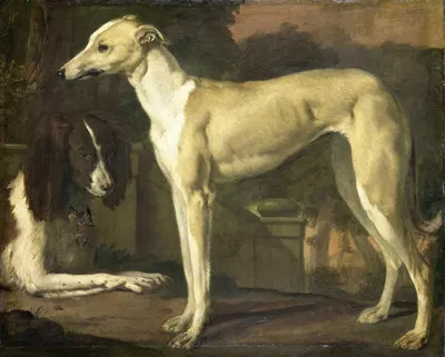 Portrait of a Greyhound and Spaniel by Ян Вейникс, 1665 - 1680 — digital art print download