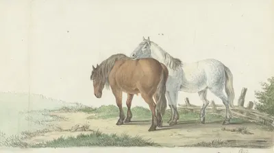 Een bruin en wit paard op een weg naast een hek by Жан Бернар, 1802 — digital art print download