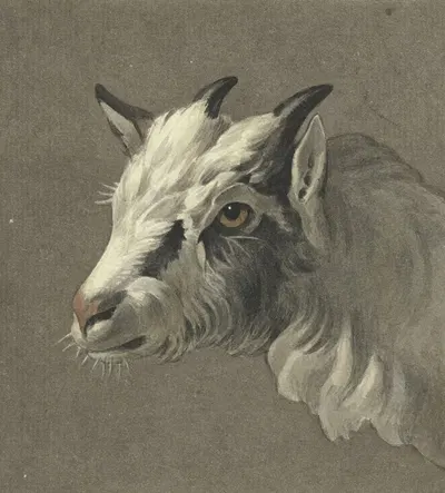 Kop van een geit, naar links by Жан Бернар, 1775 - 1833 — digital art print download