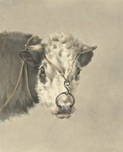 Kop van een koe, met een ring door de neus, van voren by Жан Бернар, 1820 — digital art print download
