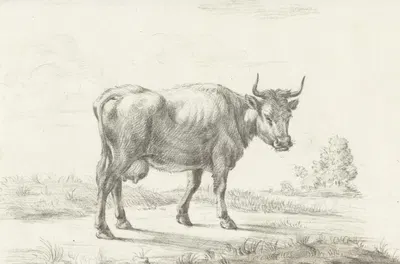 Lopende koe, naar rechts by Жан Бернар, 1775 - 1833 — digital art print download