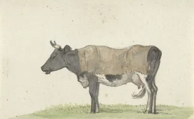 Staande koe met deken, naar links by Жан Бернар, 1816 — digital art print download