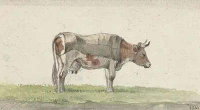 Staande koe, naar rechts by Жан Бернар, 1816 — digital art print download