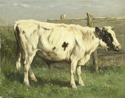 Young Bull by Johannes Hubertus Leonardus de Haas, 1870 - 1892 — digital art print download