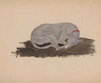 Slapende hond by Johannes Tavenraat, 1819 - 1881 — digital art print download