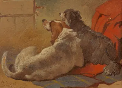 A Hound and a Bearded Collie seated on a Hunting Coat by Джон Фредерик Херринг-старший, 1855 — digital art print download