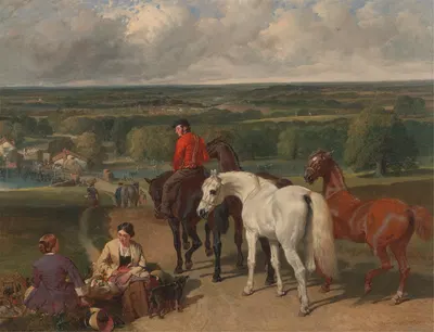 Exercising the Royal Horses by Джон Фредерик Херринг-старший, 1847 - 1855 — digital art print download