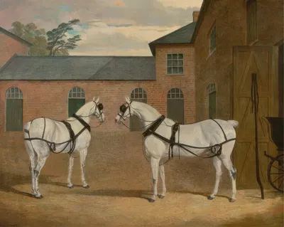 Grey carriage horses in the coachyard at Putteridge Bury, Hertfordshire by Джон Фредерик Херринг-старший, 1838 — digital…