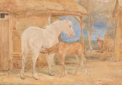 Gray Mare and a Chestnut Foal by Джон Фредерик Льюис, 1846 — digital art print download