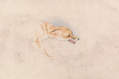 Study of a Crouching Fox, Facing Right by Джон Фредерик Льюис — digital art print download